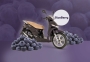 images/stories/virtuemart/product/71peuwebtemplate1920x1332pxtweetblueberry-1